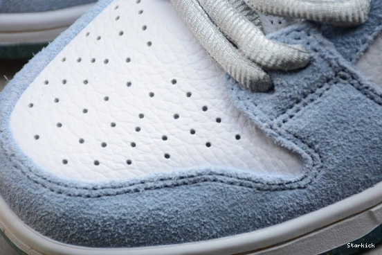 Cliver DC9936-100 Low Sean Dunk Nike SB 1106